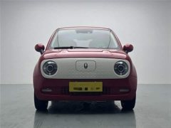 Ora Black Cat 405km Executive Edition - ფოტო 12
