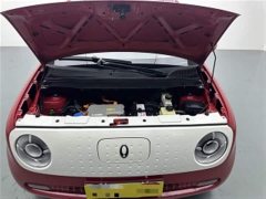 Ora Black Cat 405km Executive Edition - ფოტო 17