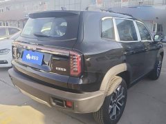 Great Wall Dachshund 1.5T DCT Border Collie Edition - ფოტო 3