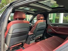 BMW 5 Series Facelift 530Li Luxury M Sport Package - ფოტო 8