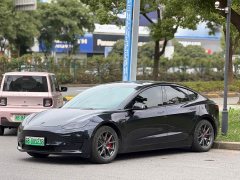 Tesla Model 3 Facelift Standard Range RWD Upgrade 3D1 - ფოტო 1