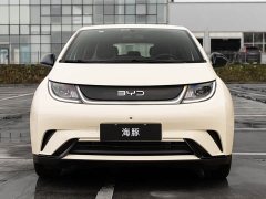 BYD Dolphin 2025 420km Freedom Edition - ფოტო 2