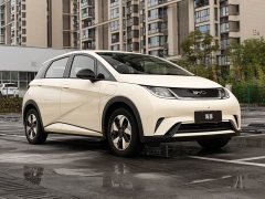 BYD Dolphin 2025 420km Freedom Edition - ფოტო 3