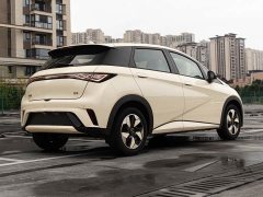 BYD Dolphin 2025 420km Freedom Edition - ფოტო 6