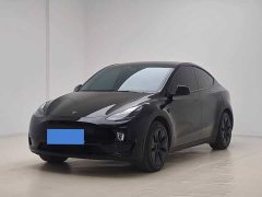 Tesla Model Y Rear-Wheel Drive - ფოტო 1