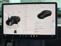 Tesla Model Y Rear-Wheel Drive - ფოტო 10