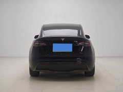 Tesla Model Y Rear-Wheel Drive - ფოტო 2