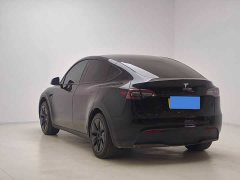 Tesla Model Y Rear-Wheel Drive - ფოტო 3