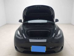 Tesla Model Y Rear-Wheel Drive - ფოტო 8