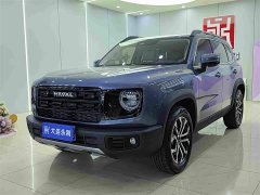Great Wall Dachshund 2026 1.5T DCT Border Collie Edition - ფოტო 1