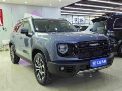 Great Wall Dachshund 2026 1.5T DCT Border Collie Edition - ფოტო 3