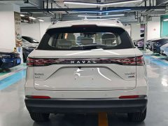 Haval Xiaolong MAX Hi4 165 Ultra Intelligent Driving Edition - ფოტო 15