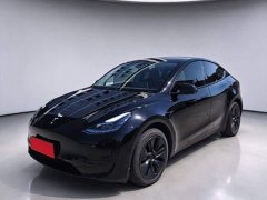 Tesla Model Y Rear-Wheel Drive - ფოტო 1