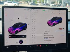 Tesla Model Y Rear-Wheel Drive - ფოტო 10