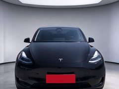 Tesla Model Y Rear-Wheel Drive - ფოტო 2
