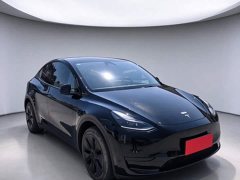 Tesla Model Y Rear-Wheel Drive - ფოტო 3