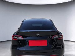 Tesla Model Y Rear-Wheel Drive - ფოტო 5