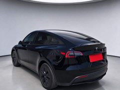 Tesla Model Y Rear-Wheel Drive - ფოტო 6