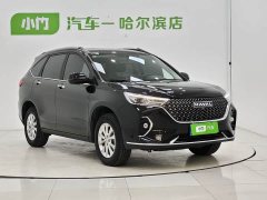 Haval M6 PLUS 1.5T DCT Luxury Smart Connected Edition - ფოტო 3