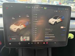 Tesla Model Y 2023 Long Range All-Wheel Drive - ფოტო 4