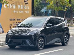 BYD Seagull Freedom Edition - ფოტო 1