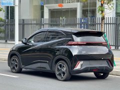 BYD Seagull Freedom Edition - ფოტო 17