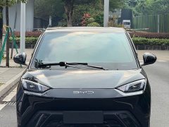 BYD Seagull Freedom Edition - ფოტო 2
