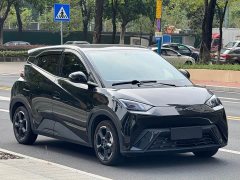 BYD Seagull Freedom Edition - ფოტო 3