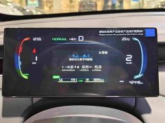 BYD Qin PLUS DM-i Smart Drive Edition 55KM Leading - ფოტო 17