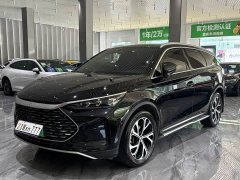 BYD Tang New Energy 2025 DM-i 115KM Premium Edition - ფოტო 1