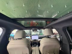 BYD Tang New Energy 2025 DM-i 115KM Premium Edition - ფოტო 9