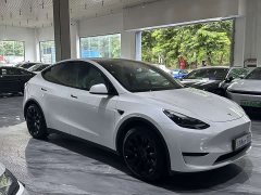 Tesla Model Y Rear-Wheel Drive - ფოტო 3