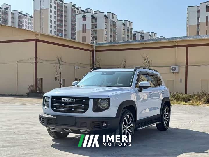 Great Wall Dachshund 2021 1.5T DCT Two-Wheel Drive Border Collie Edition - ავტომობილი ჩინეთიდან