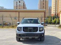 Great Wall Dachshund 2021 1.5T DCT Two-Wheel Drive Border Collie Edition - ფოტო 2