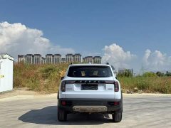 Great Wall Dachshund 2021 1.5T DCT Two-Wheel Drive Border Collie Edition - ფოტო 9