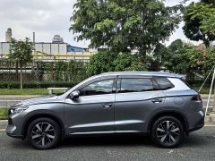 BYD Song Pro New Energy DM-i 71KM Glory Edition Pilot - ფოტო 4