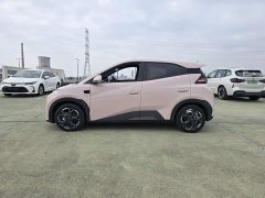 BYD Seagull Smart Drive 405km Flight Edition - ფოტო 3