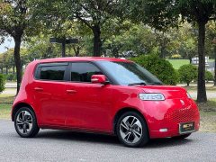 Ora White Cat 2022 Upgrade 305km Luxury Trim Ternary Lithium Battery - ფოტო 3