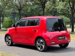 Ora White Cat 2022 Upgrade 305km Luxury Trim Ternary Lithium Battery - ფოტო 7
