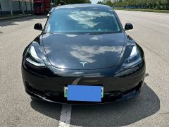 Tesla Model 3 Rear-Wheel Drive - ფოტო 2