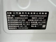 Buick GL8 New Energy Lusang Respect Edition - ფოტო 17