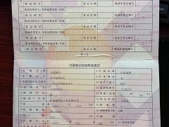 BYD Yuan Pro 401KM Luxury - ფოტო 19