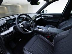 GAC Aion GS8 Pioneer Series 2.0T GDI FWD Luxury 5-Seater - ფოტო 13