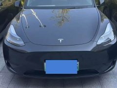 Tesla Model Y Rear-Wheel Drive - ფოტო 1