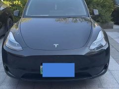Tesla Model Y Rear-Wheel Drive - ფოტო 2