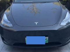 Tesla Model Y Rear-Wheel Drive - ფოტო 3