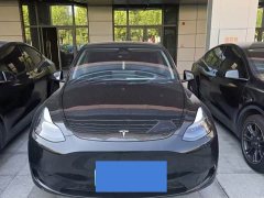 Tesla Model Y Rear-Wheel Drive - ფოტო 6