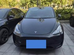 Tesla Model Y Rear-Wheel Drive - ფოტო 7