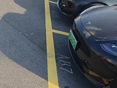 Tesla Model Y Rear-Wheel Drive - ფოტო 9
