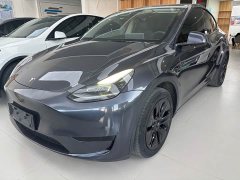 Tesla Model Y Long Range All-Wheel Drive - ფოტო 1